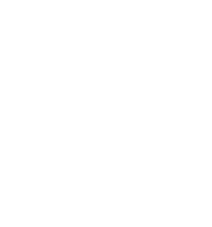 1100 Half logo